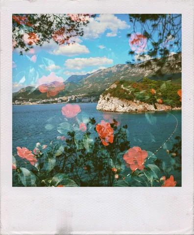 Coast In Bloom
