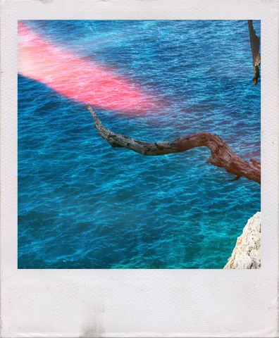 Turquoise And Branch