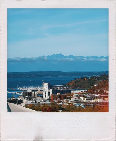 Elliott Bay Olympics
