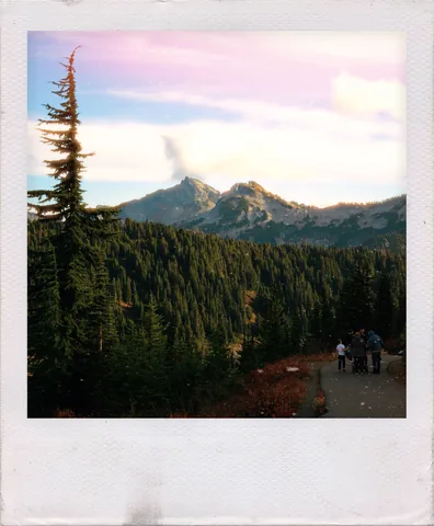 Rainier Trail