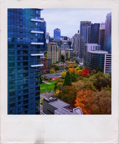 Tower And Autumn